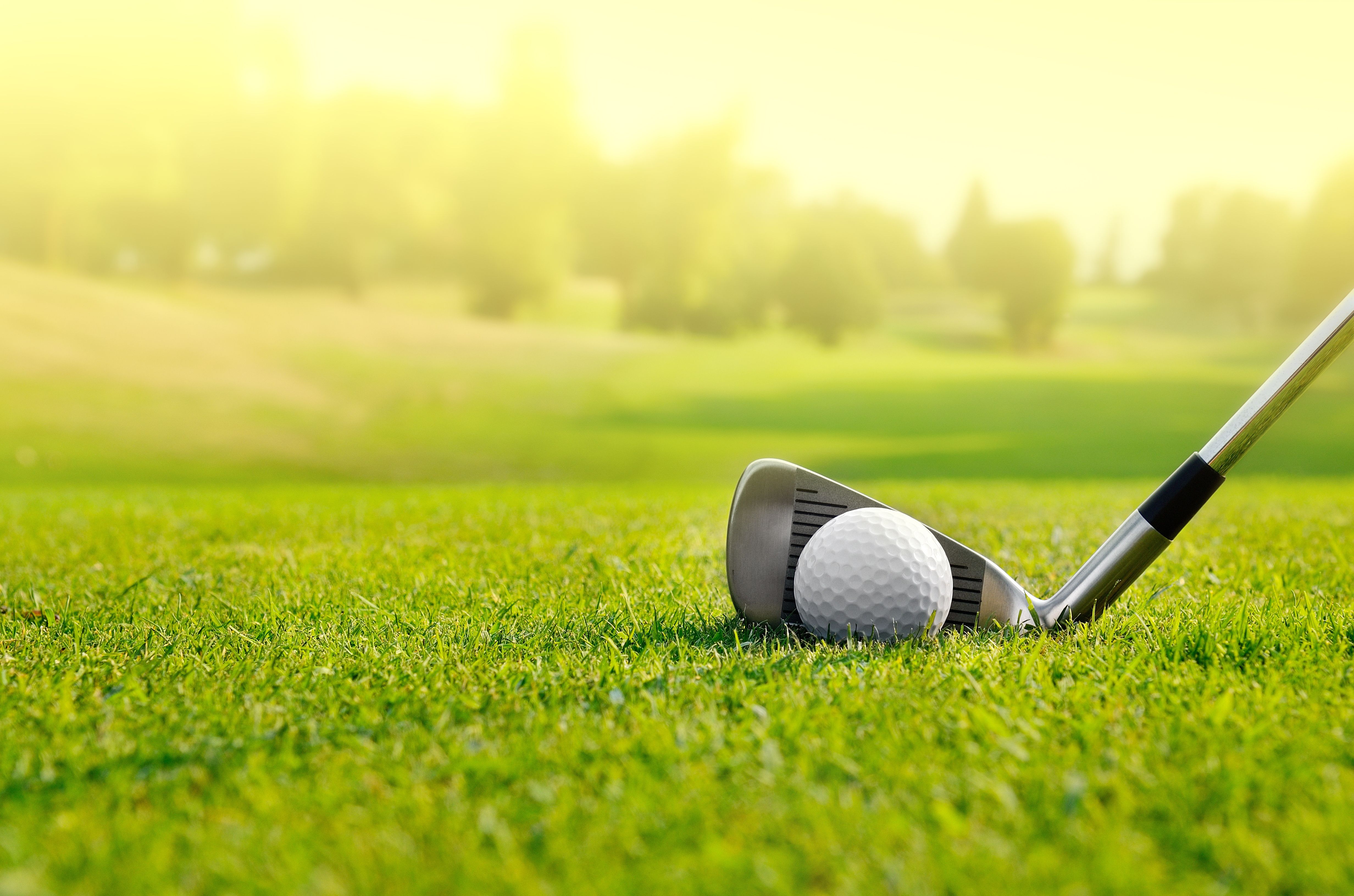 Let's golf | Image credit: © StefanoT - stock.adobe.com