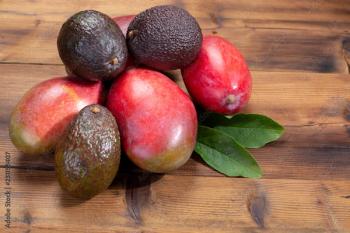 New harvest of healthy fruits and vegetables, tropical organic ripe red mango and has avocado ready to eat | Image credit: © - barmalini © - stock.adobe.com.