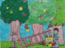 The Apple Dumpling Kid's From The Orchard To The Market