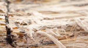 asbestos