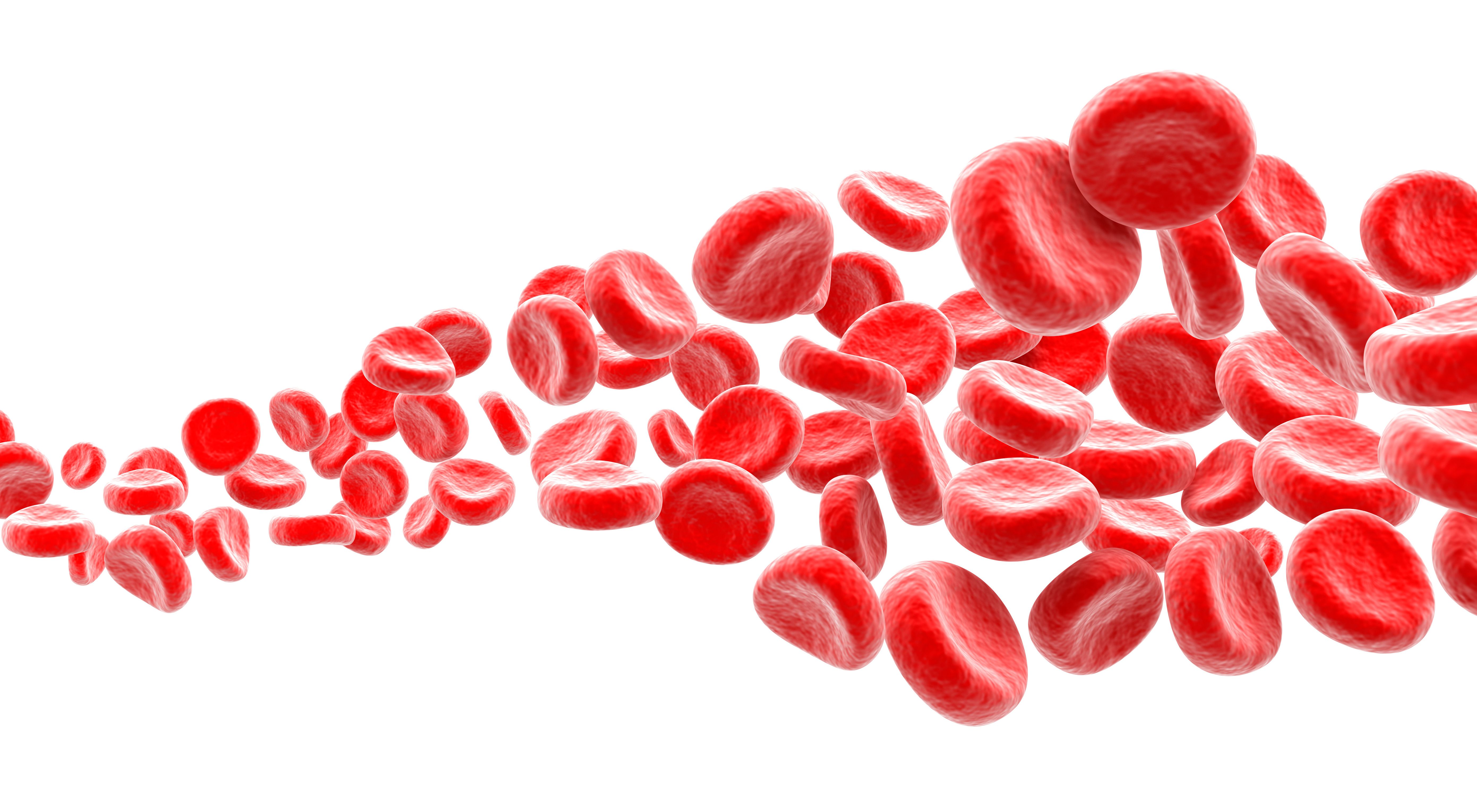 Illustration of red blood cells. 