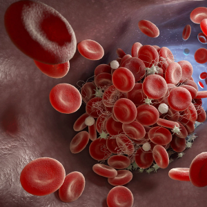 Image of blood cells.