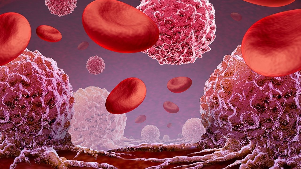 The FDA has granted breakthrough therapy designation to INCA033989 for some patients with essential thrombocythemi: © stock.adobe.com.