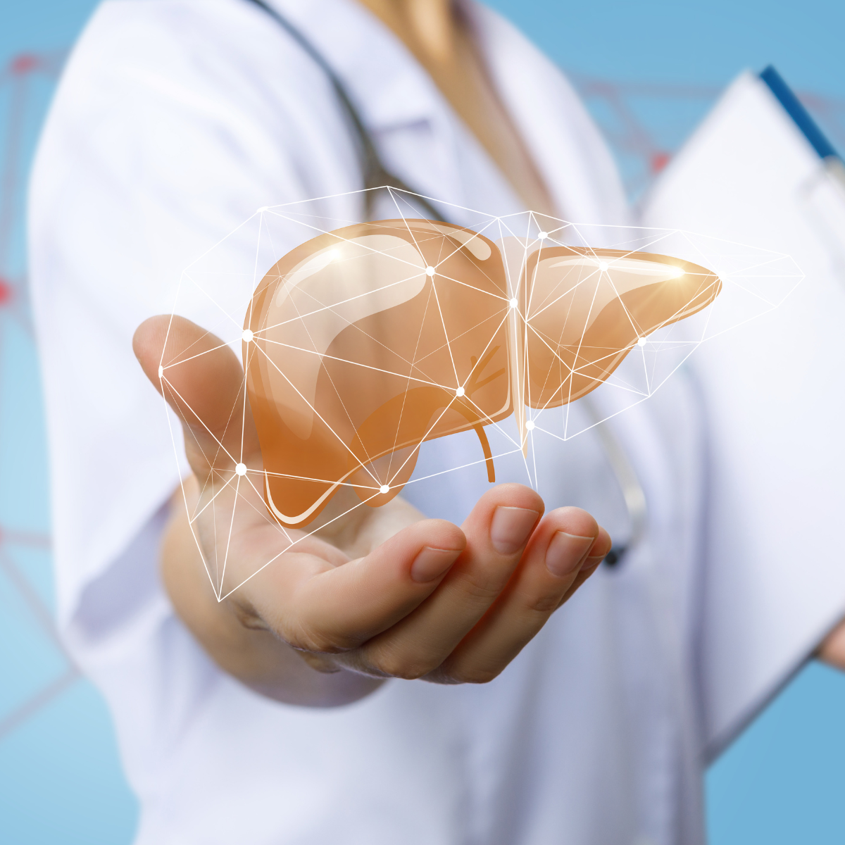 Image of liver