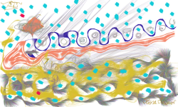 Waves Around