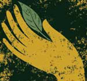 Post-Craniotomy Care