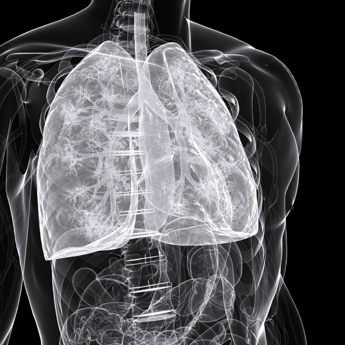 Keytruda Shows Benefit in Small Cell Lung Cancer Cure Today