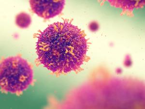 Patients With Cancer May Have an Increased Risk for Measles and Mumps