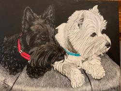 Having Fun with Black and White