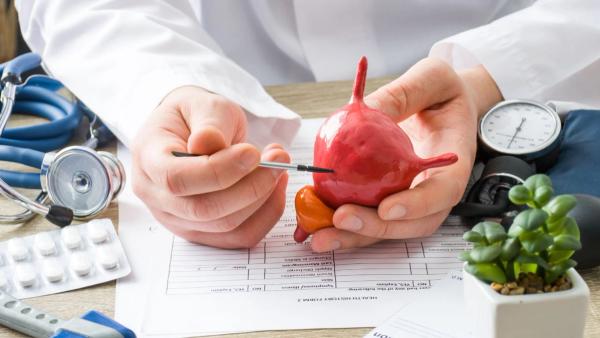 NDV-01 demonstrated high response rates and encouraging safety in non–muscle-invasive bladder cancer: © stock.adobe.com.