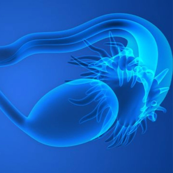 Illustration of ovaries.