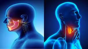 Image of head and neck.