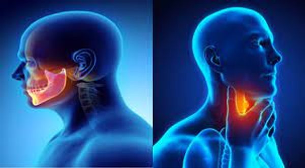 Image of head and neck.
