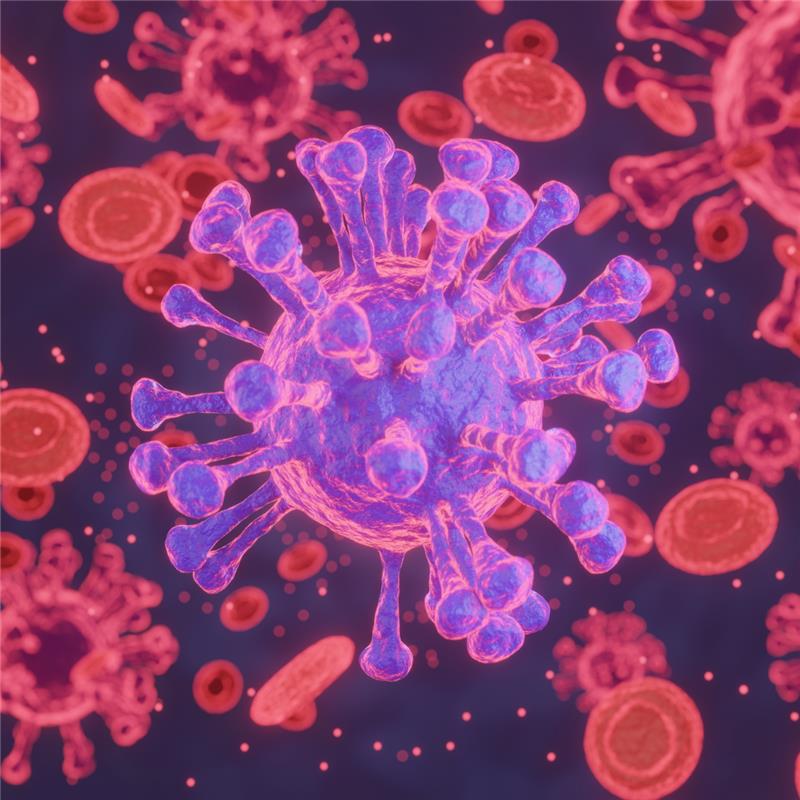 Image of myelofibrosis