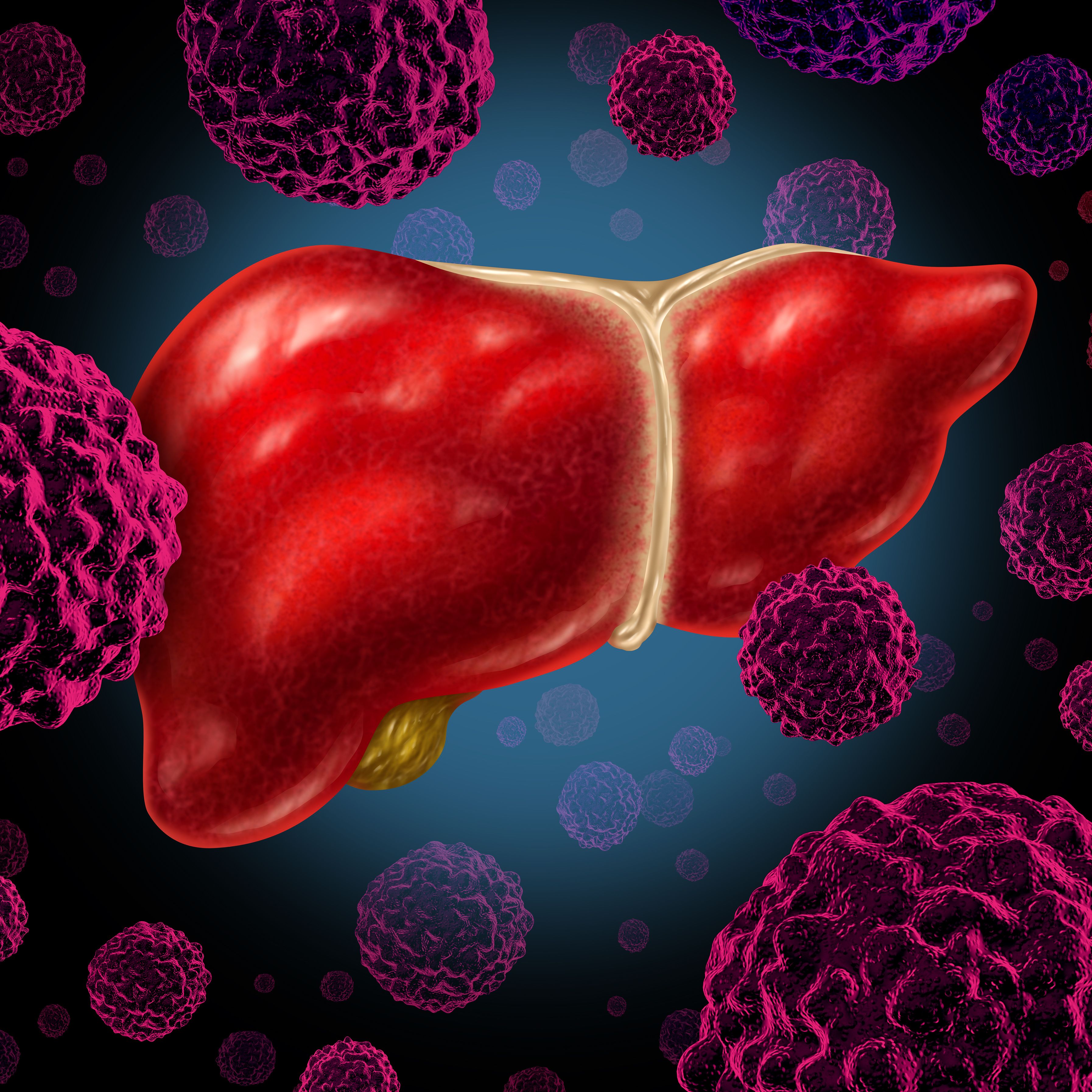 Image of liver.