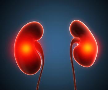 kidneys against a blue background 