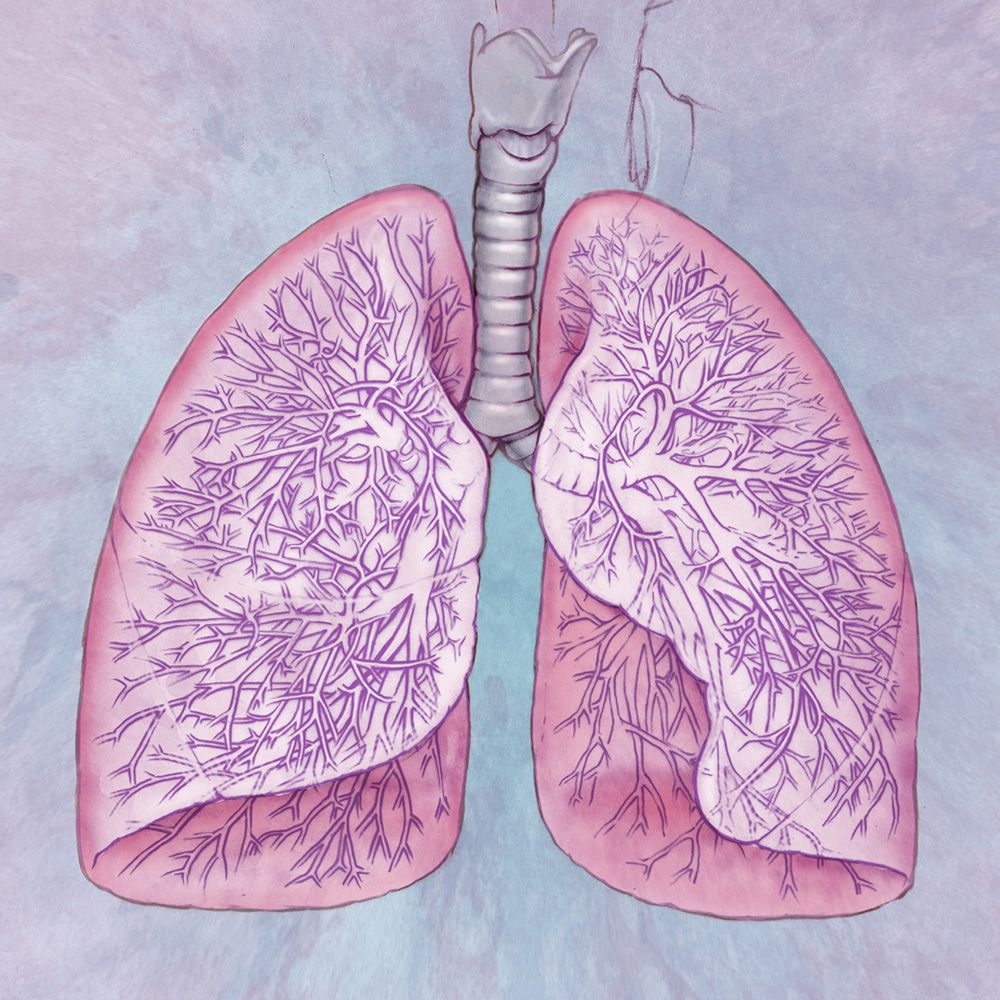 Opdivo Misses Endpoint in Phase 3 Lung Cancer Study Cure