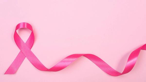 Orserdu plus Verzenio or Afinitor was well tolerated and showed early signs of effectiveness in advanced ER+/HER2– breast cancer: © stock.adobe.com.