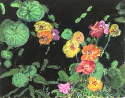 Essence of Nasturtium