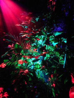 Light Finds a Way