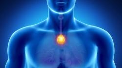 Understanding Stage 3 Papillary Thyroid Cancer: A Patient-Oncologist Discussion Guide