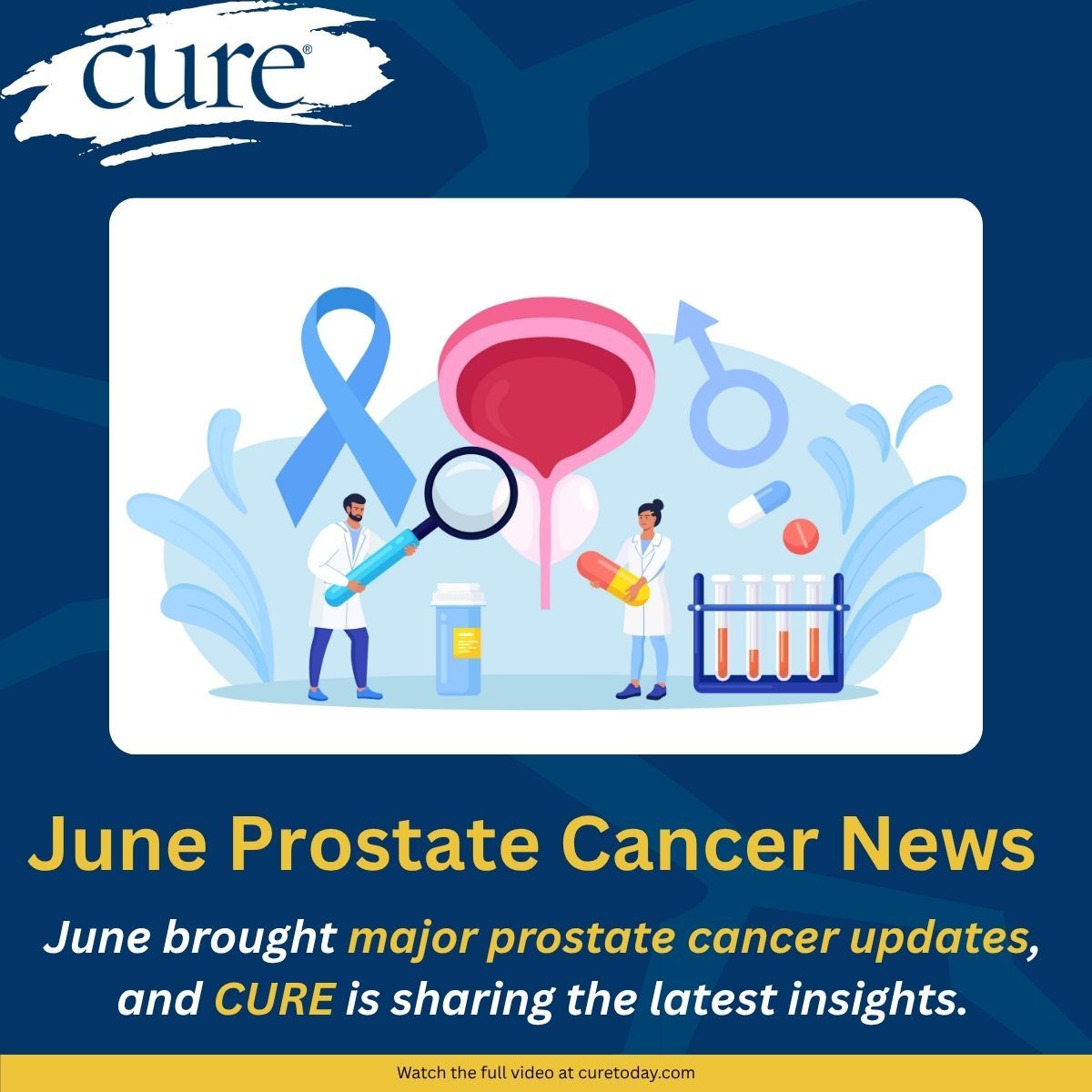 Image of prostate model.