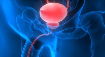 Image of a bladder highlighted in red.