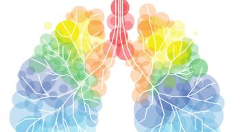 Illustration of lungs.