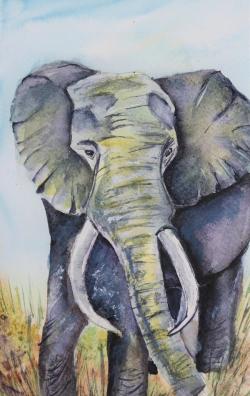 Like an Elephant