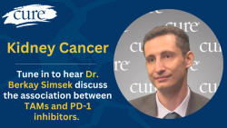 What Can Influence Immunotherapy Responses in Kidney Cancer?