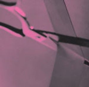 Evolving Role of Lymph Node Biopsies After Neoadjuvant Therapy for Breast Cancer