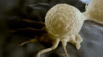  breast cancer cells