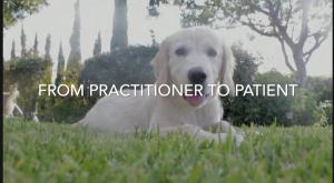 Dr. Jeff Young: From Practitioner to Patient