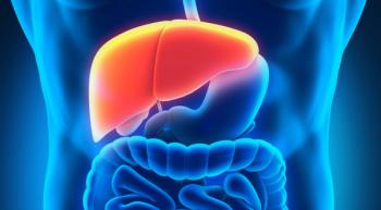 Illustration of a liver, highlighted in red.