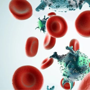 Image of blood cells.