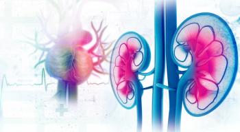 A closeup, colorized image of the kidneys