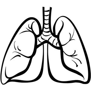 Actionable Mutations Common in Lung Cancer Patients Under 40