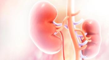 kidneys