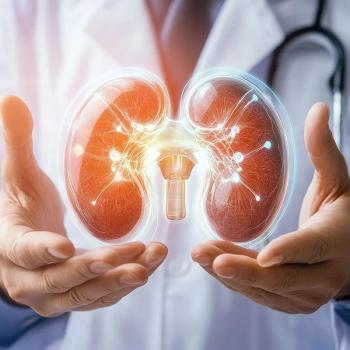 Image of kidney.