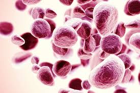 New Myeloma Combo Cuts Risk of Relapse by Up to 72% — Here's What It Could Mean for You