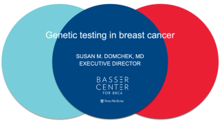 Dr. Susan Domchek