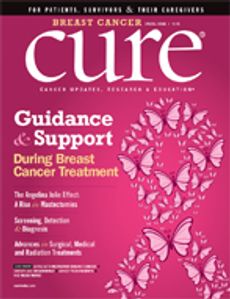 Breast Cancer Special Issue