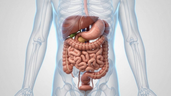 Image of stomach