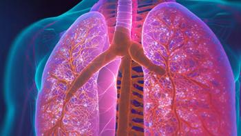 image of lungs