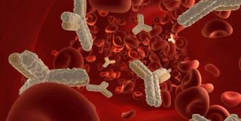 image of bone marrow transplant 