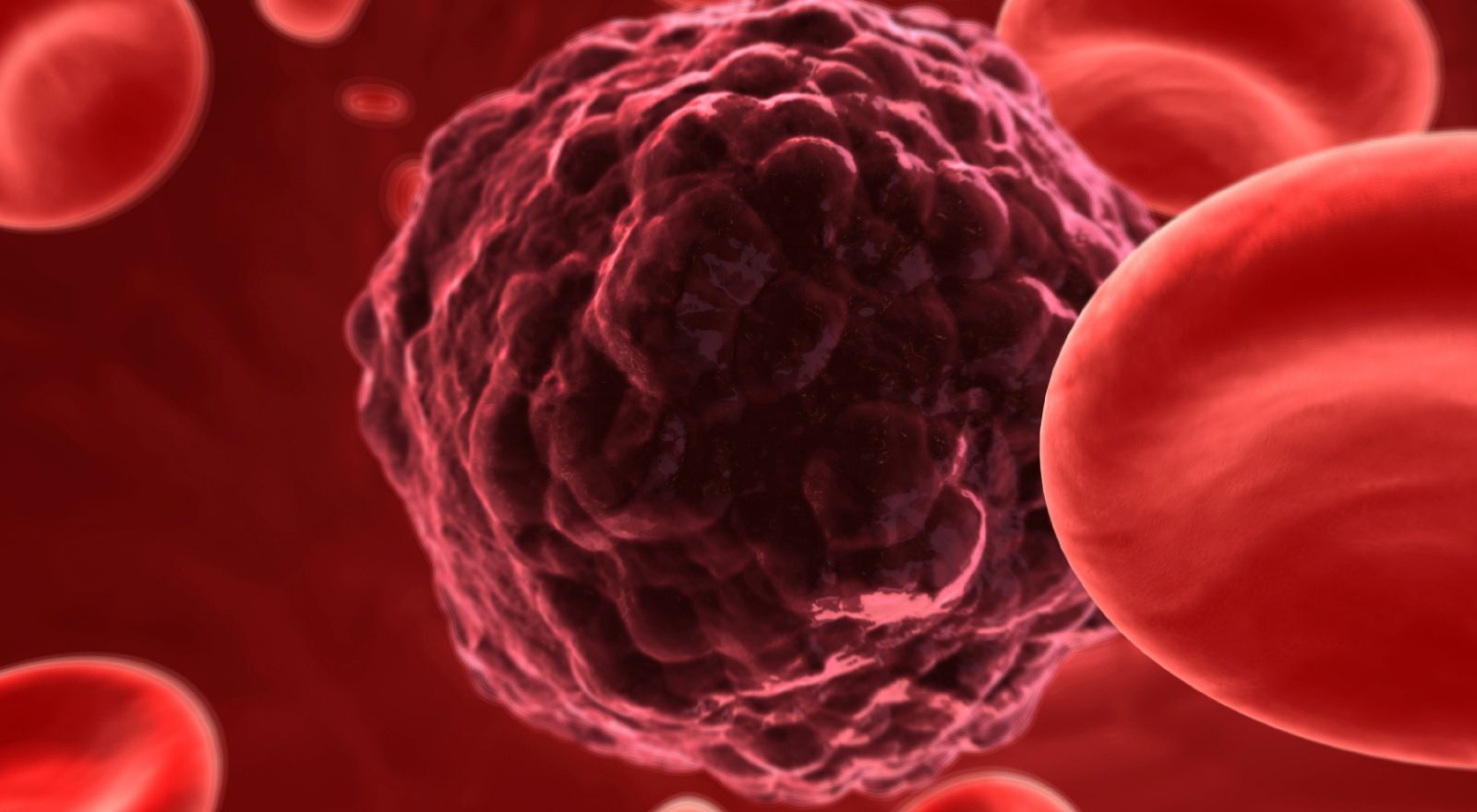 Image of a tumor cell in the bloodstream. 