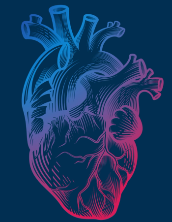 More than half of the deaths assessed in this study were related to non-cancer-related causes such as cardiovascular disease compared with cancer-related causes, which may reflect a need for risk factor management for heart disease during survivorship.