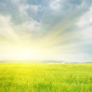 Care to Comment on Draft USPSTF Statement on Sun Protection?