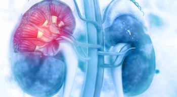 kidneys against a blue background 