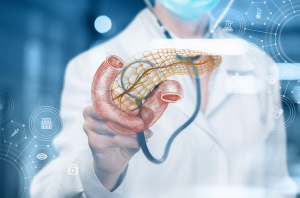 The concept of diagnostics of the pancreas | Image credit: © natali_mis – © stock.adobe.com